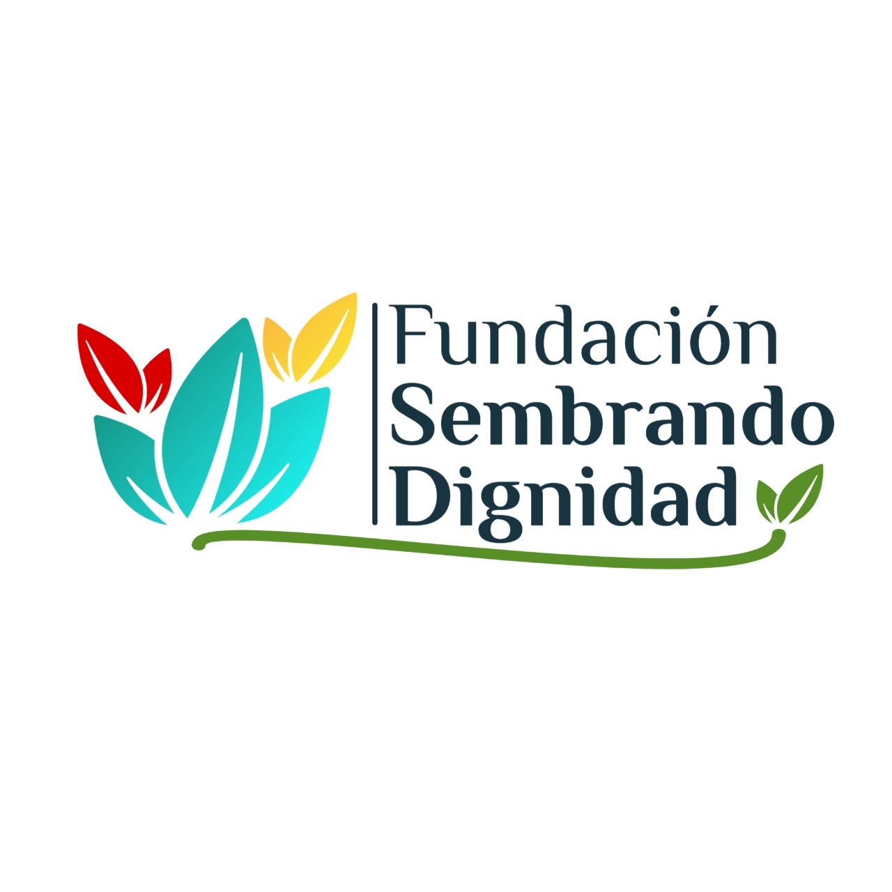 Fundacion Sembrando Dignidad